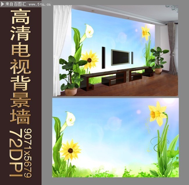 ֲ�ﻨ�ܵ��ӱ���ǽ