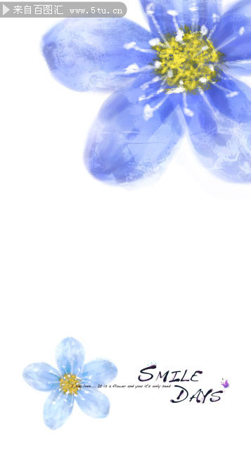 淡蓝色花朵背景