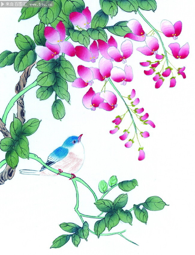 花鸟水彩画高清图片