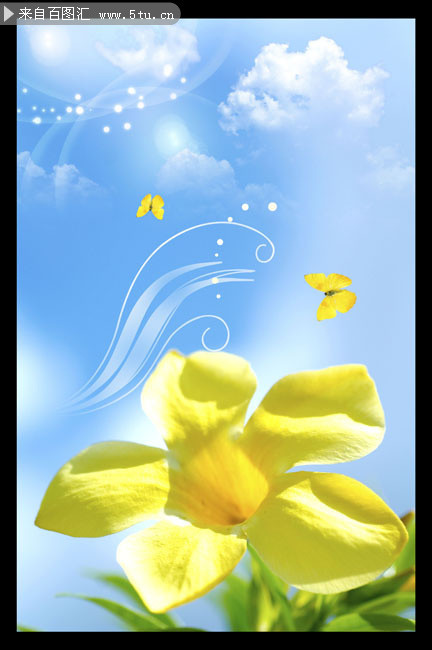 ֲ�ﻨ��װ�λ�ͼƬ