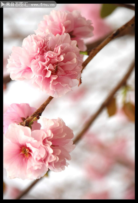 ӣ����д��ӰͼƬ