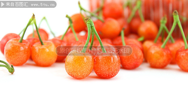 ��ɫӣ�Ҹ���ͼƬ