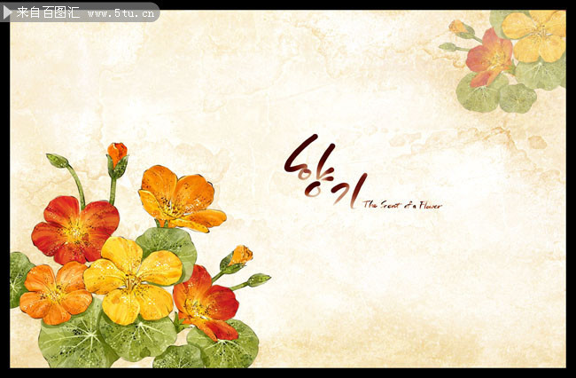 �ֻ滨��ͼƬ�ز�