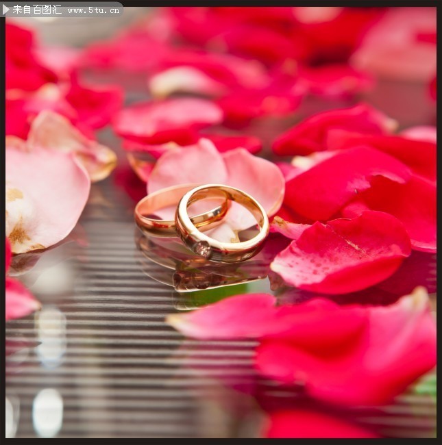 õ�廨�걳��ͼƬ 