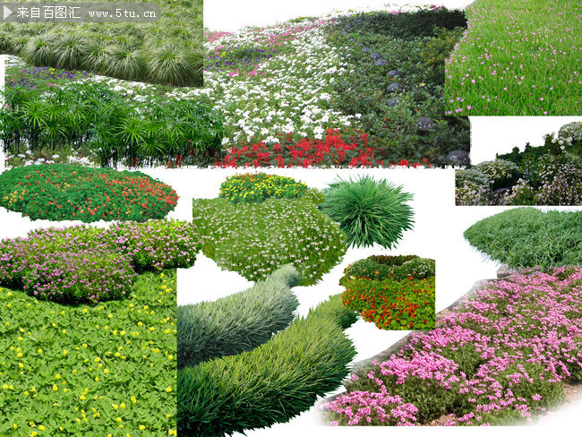 绿植花圃图片素材