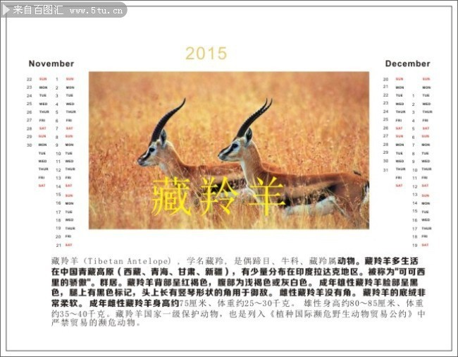 2015��11�º�12������ģ��