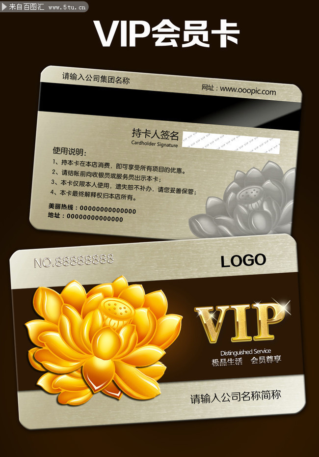 �ߵ�VIP��ģ������