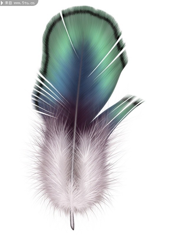 ���黭����Ƹ�6P