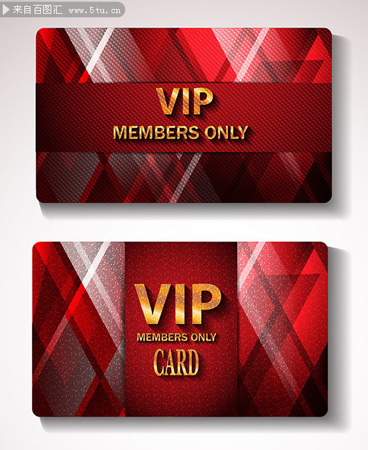 ��ɫ��ʯVIP��ģ��