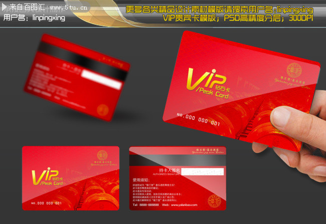 ��ɫVIP�����ģ��