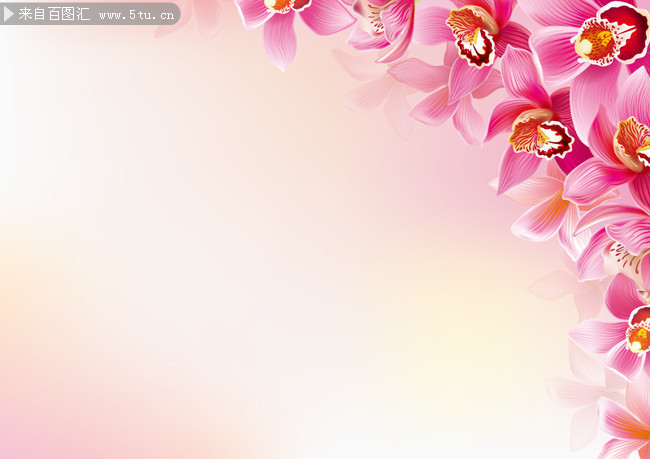 �ۺ컨�䱳��ͼƬ