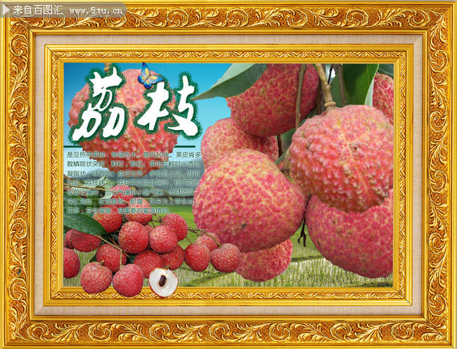 ˮ������֦װ�λ�ͼƬ