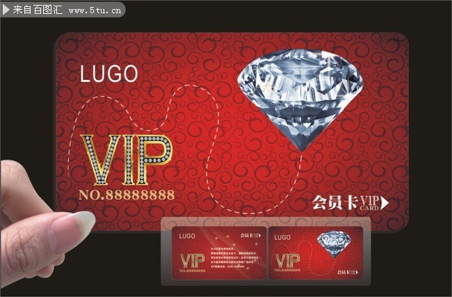��ʯVIP������