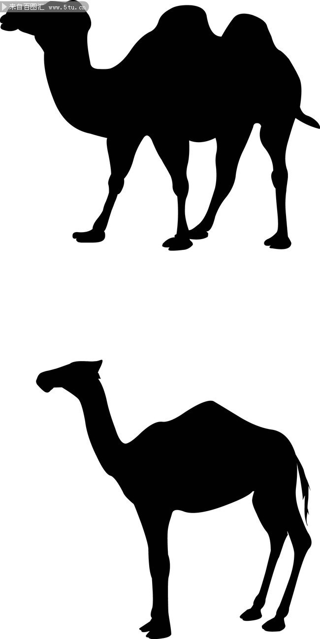 ���ռ�Ӱʸ��