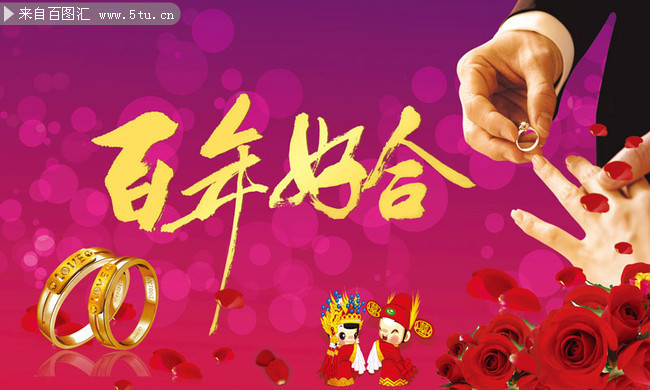 ����úϻ��캣������