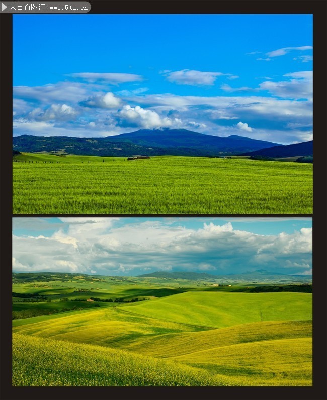 美丽的草原风景图片