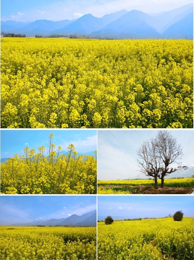 �Ͳ˻�ͼƬ