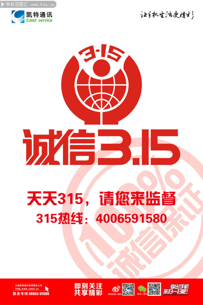 ����315��������