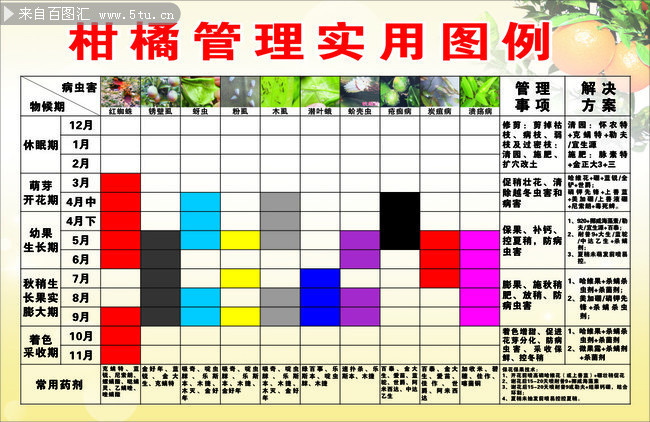 柑橘种植管理看板
