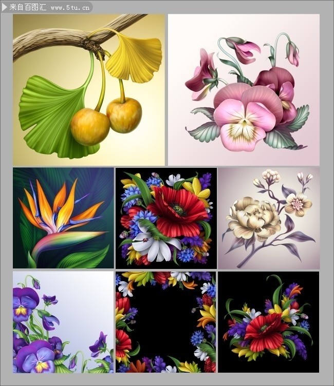 精美花卉图片大图