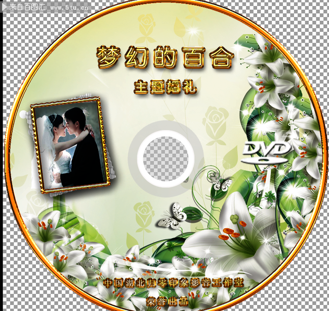 ��ɴ���DVD�����