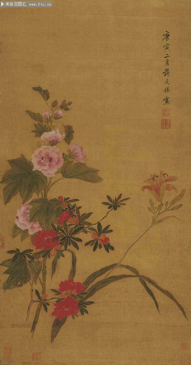 蜀葵宣花图绢本_清_蒋廷锡