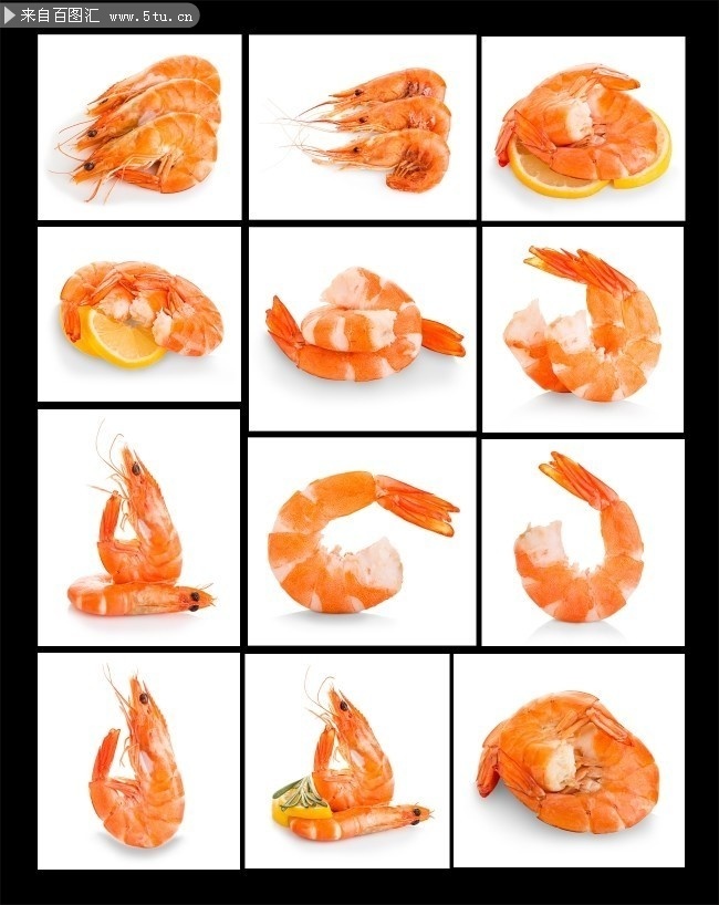 ��ζϺ�����ͼƬ