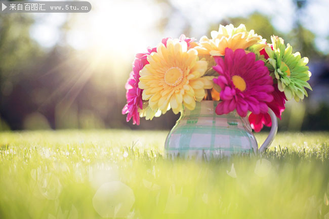�ݵ��ϵĻ�ƿ��ӰͼƬ�ز�