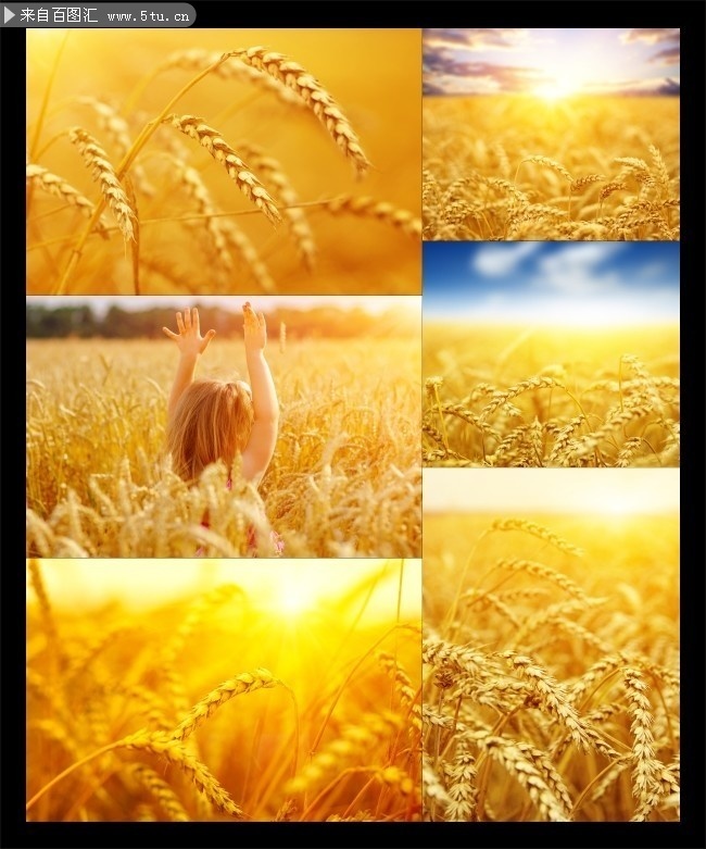 ��ɫ���ӱ���ͼƬ