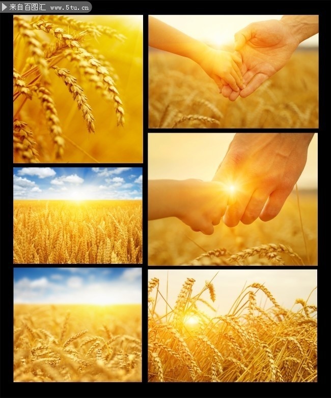 ���յ�����羰��ӰͼƬ�ز�