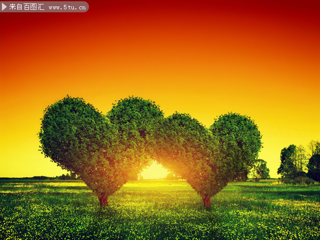 �ݵ��ϵİ������羰ͼƬ