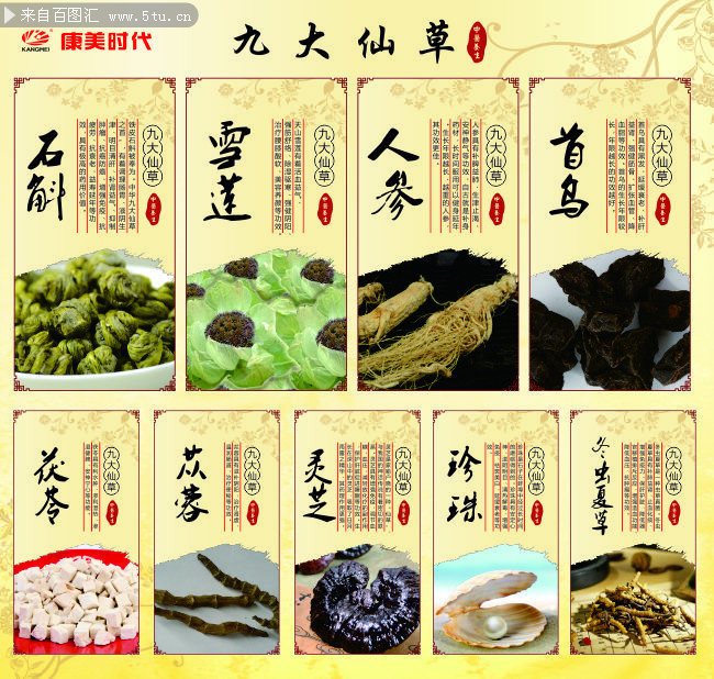 中草药知识展板图片下载