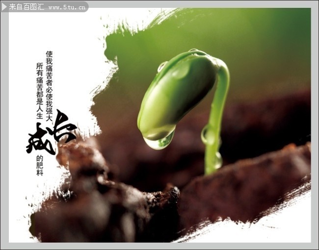 ��ҵ�Ļ�չ��ɳ�ͼƬ�ز�