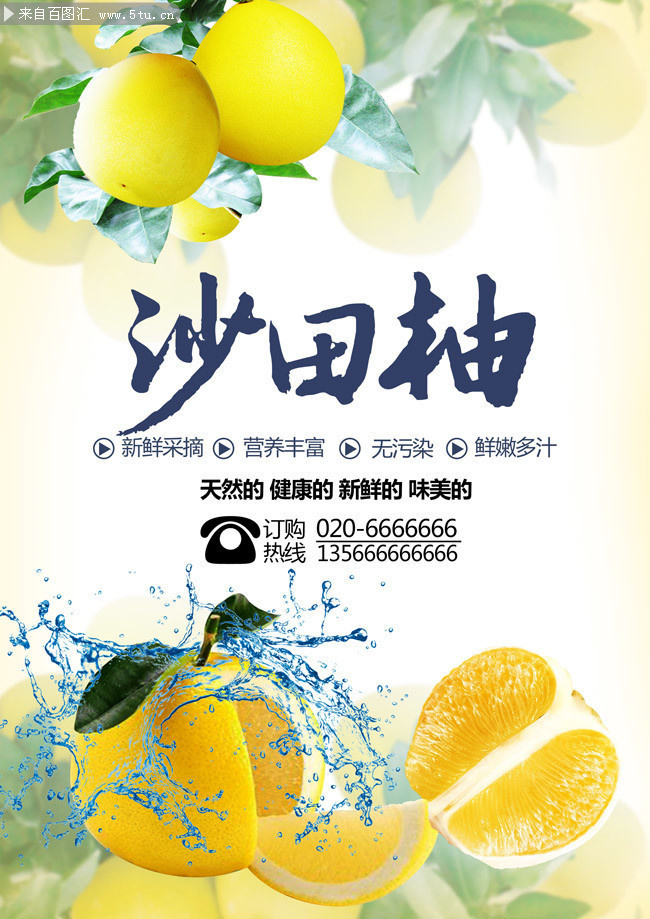 ɳ����ˮ���꺣��ͼƬ�ز�