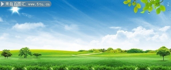 清新绿色草地图片素材