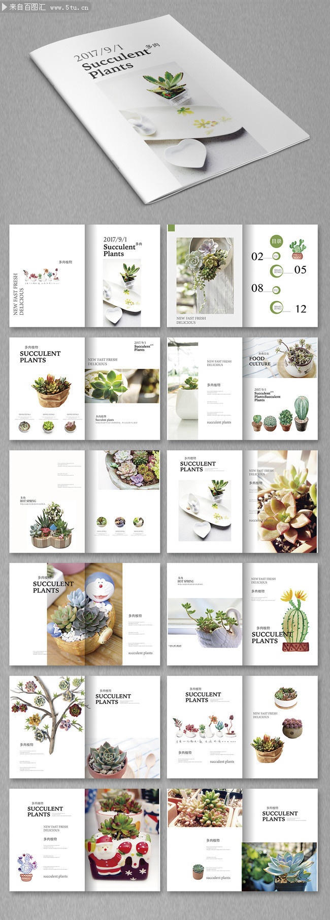 ����ֲ����������ģ��