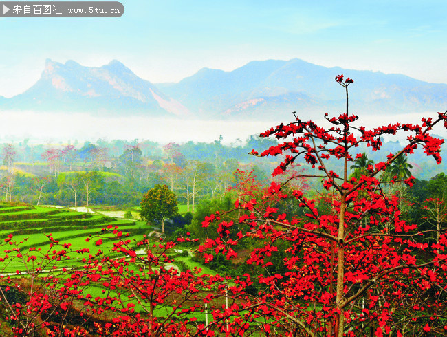 ľ�޺�֮��羰ͼƬ