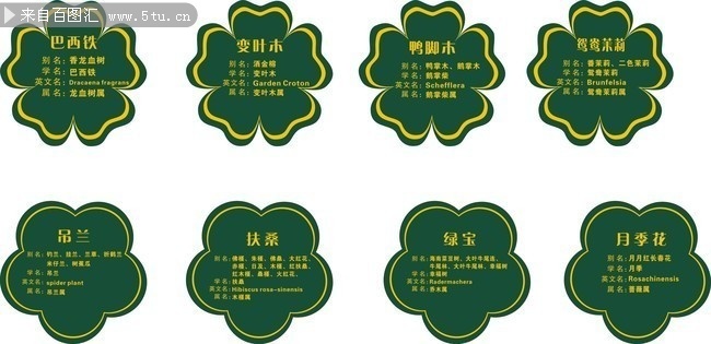 ֲ���������� Ҷ����״������