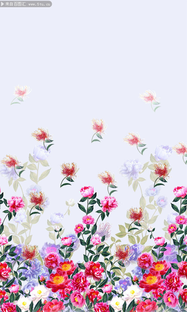 �ֻ滨��ֲ�ﻨ��ͼƬ�ز�