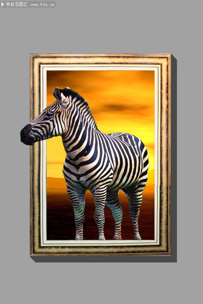 3D��������ǽ��ͼƬ