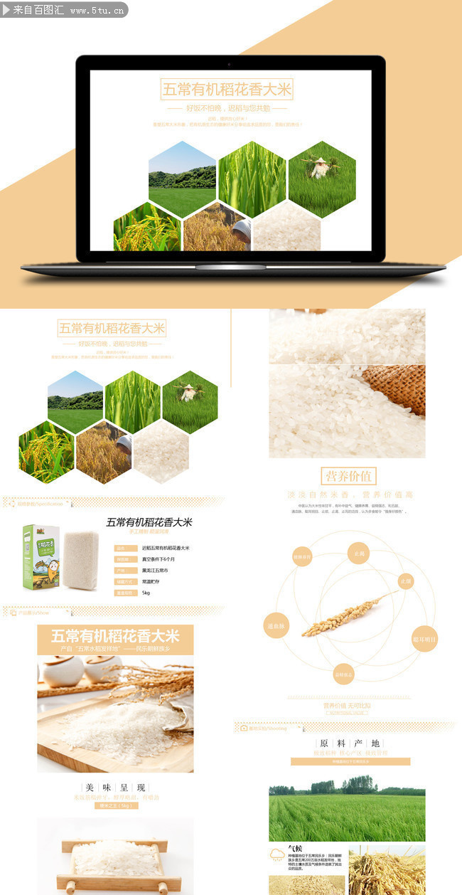 �л���������ҳģ������
