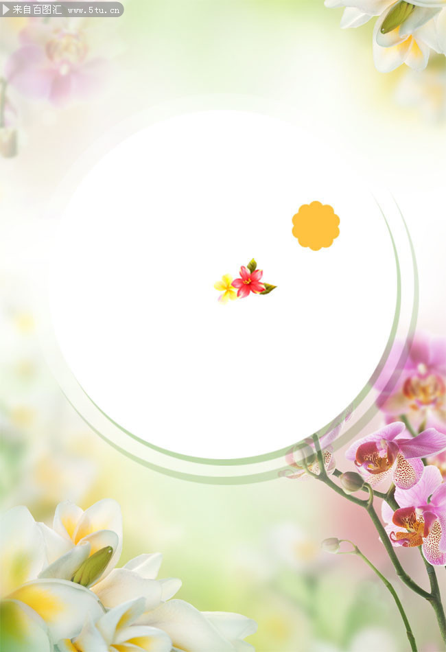 ��ɫ���������캣������ͼƬ����