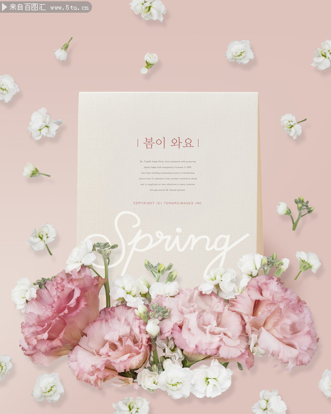 ��ɫ���䴺�캣������ͼƬ����
