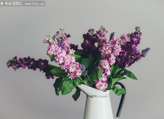 插洒水壶中的花朵特写高清图片