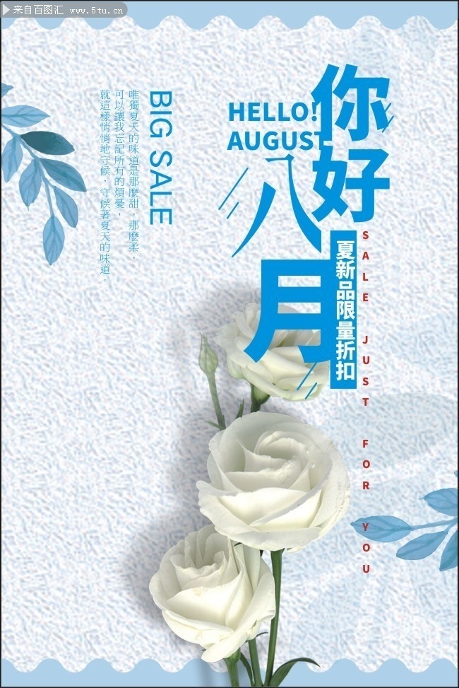 你好八月夏季新品促销海报