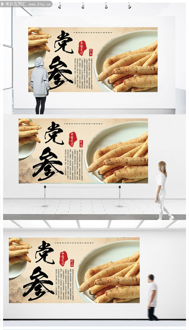 党参中药材海报