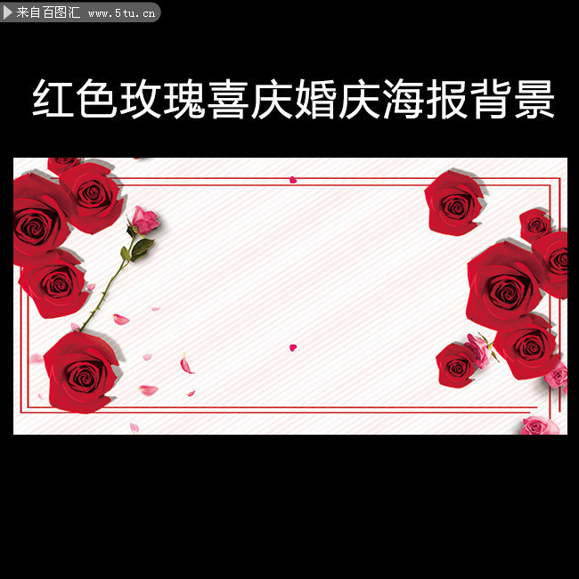 ��ɫõ��ϲ�챳��
