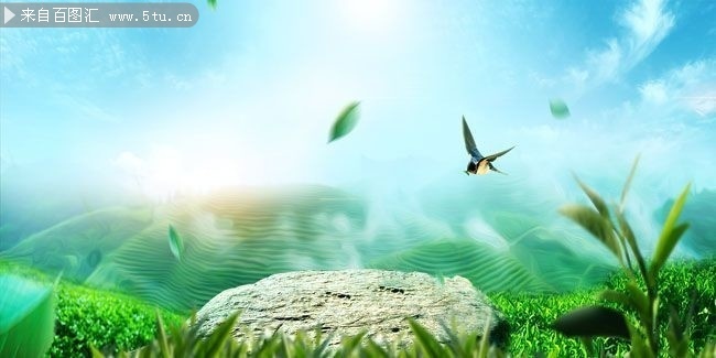 �й����Ҷ������������