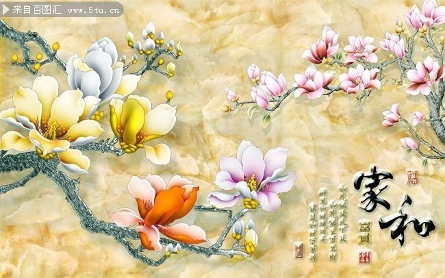 �Һ͸���ĵ���ڻ�װ�λ�ͼƬ