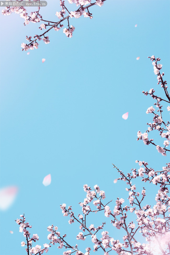 ��ɫ�һ���������ͼƬ����